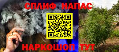 молекула духа Нальчик
