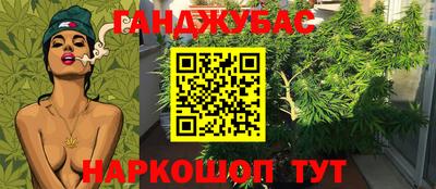 крисы Нарткала
