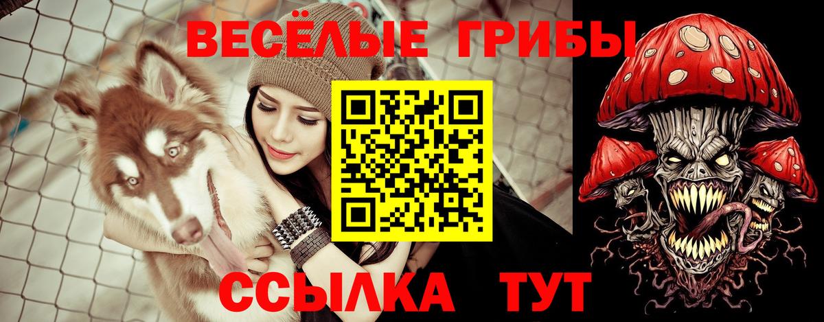Хабаровск  Галлюциногенные грибы ЛСД  Вход с VPN 