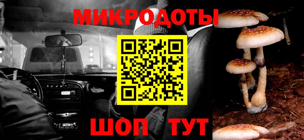 Псилоцибиновые грибы GOLDEN TEACHER Хабаровск